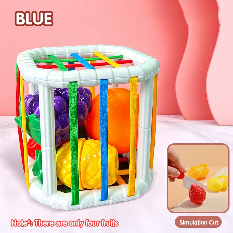 Bebé Montessori Aprendizaje Juguetes Educativos Bloques de Formas Coloridas Juego de Clasificación Para Niños Bebés Nacimiento Inny 0 12 Meses Regalos de Juguete