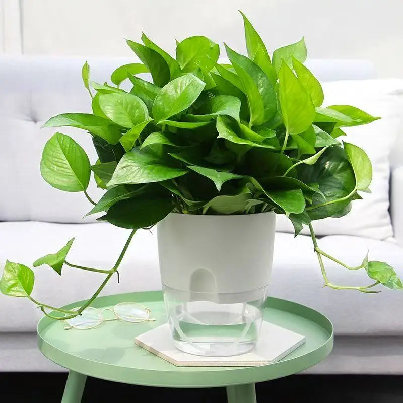 Self Watering Pots for Plants, Flower Plant Pots with Drainage Holes, Double-Layer Plastic Flower Pot Small Plant Pot Wicking