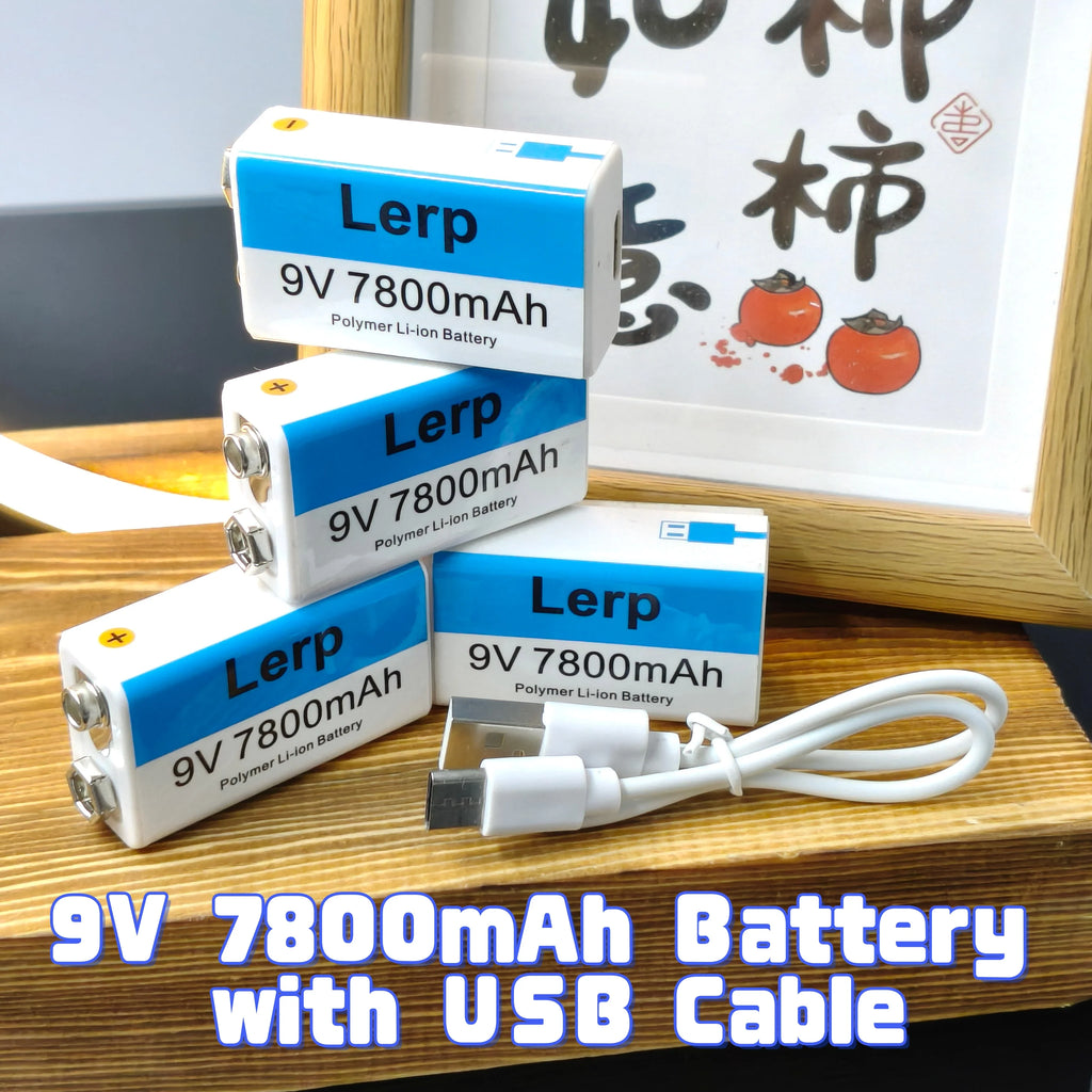 9V Rechargeable Battery 7800mAh with USB Charging Cable