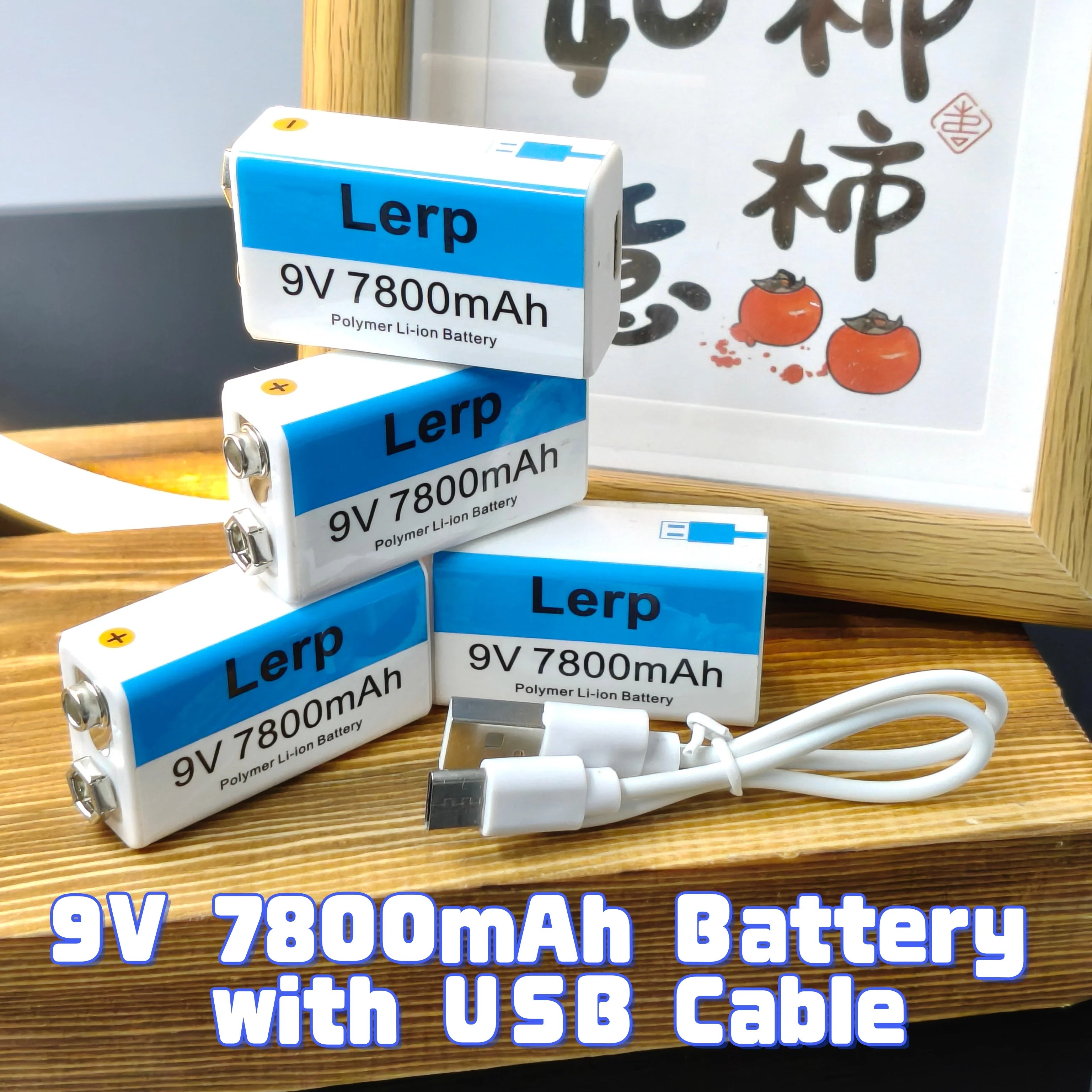 9V Rechargeable Battery 7800mAh with USB Charging Cable