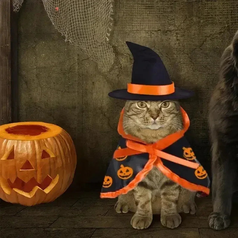 Disfraz de Halloween para mascotas, transpirable, suave, bonito, con forma de capa, patrón de calabaza, disfraz de arnés para gato, perro, herramienta de cosplay