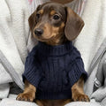 Winter High-Neck Sweater for Small Wiener Dogs Autumn Warm Coat for Badger Dogs Thick Loungewear for Small Dachshund Dogs