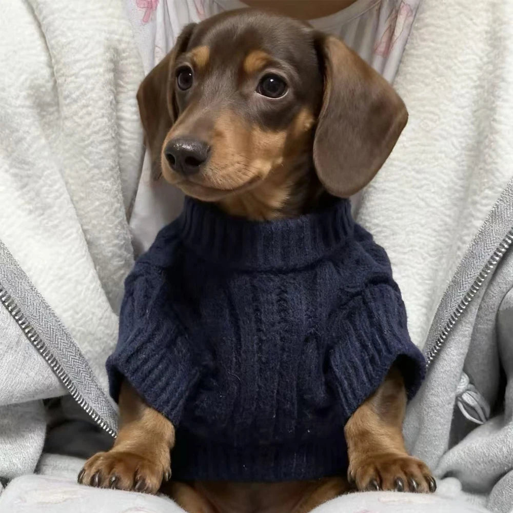 Winter High-Neck Sweater for Small Wiener Dogs Autumn Warm Coat for Badger Dogs Thick Loungewear for Small Dachshund Dogs