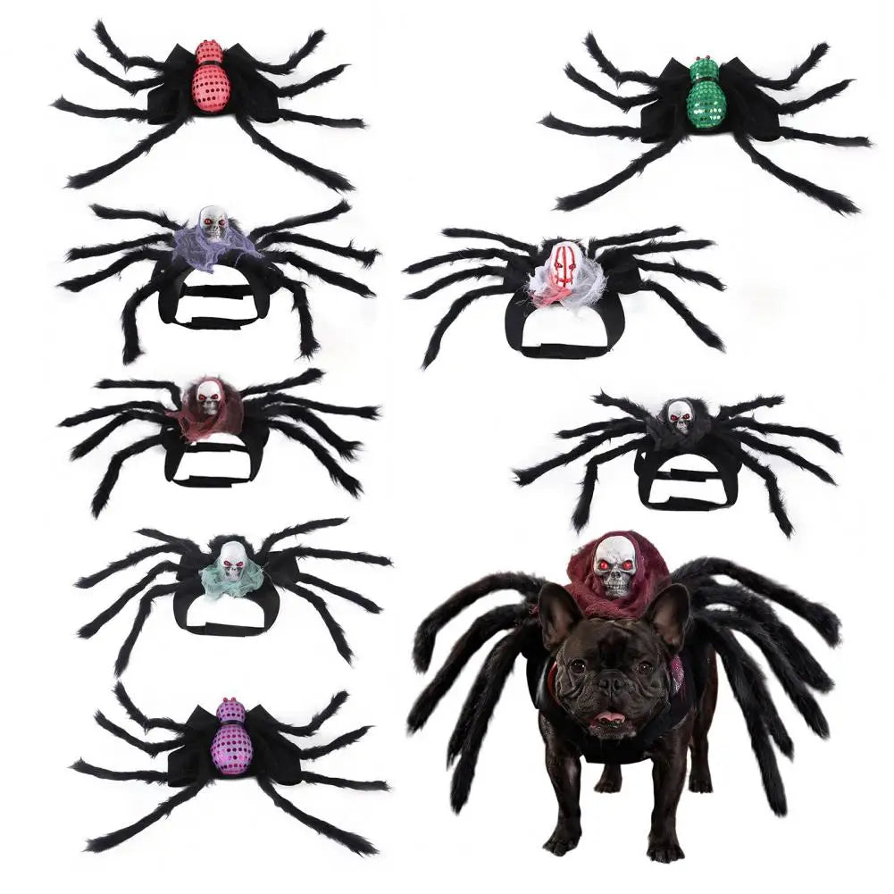 Funny Costumes for Halloween Halloween Pet Outfits for Small to Dogs Pet Spider Costume for Cats Dogs Halloween Skull Face